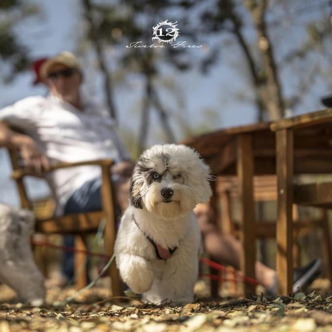 12 Fires Luxury Glamping With Heating #1 Hotel Johnson City Ngoại thất bức ảnh